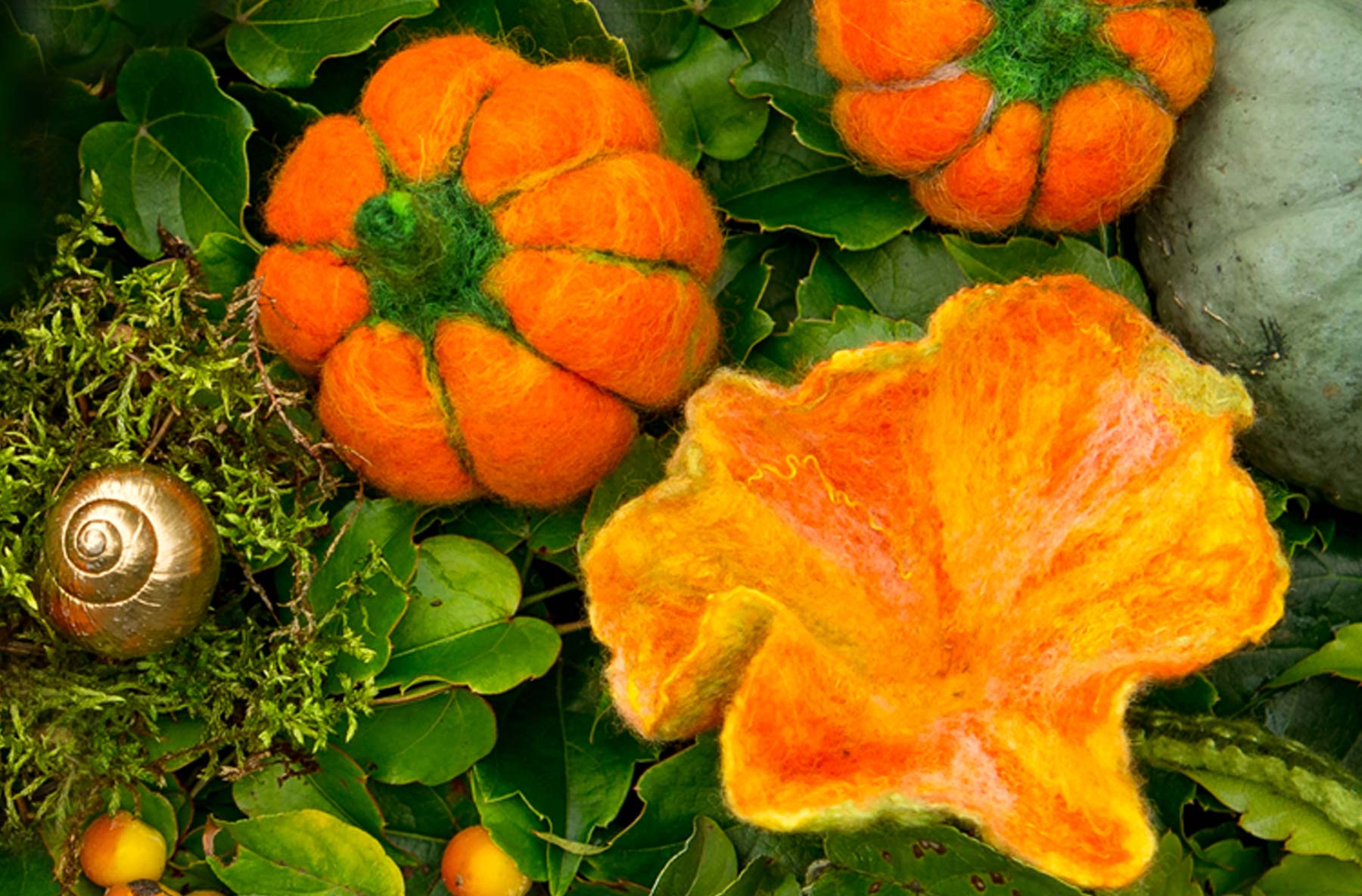 Kürbis nadelgefilzt Kürbisblüte